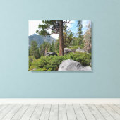 Mooie Tahoe-schildpad Canvas Afdruk (Insitu (Houten vloer))