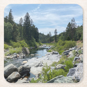 Mooie Tahoe-schildpad Vierkante Kartonnen Onderzetter