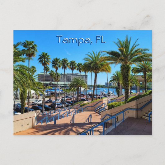 Mooie Tampa, Florida Briefkaart (Voorkant)