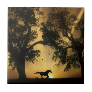 Mooie Tegel voor paardenkunst Tegeltje