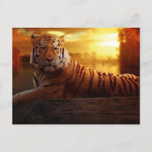 Mooie tijger briefkaart