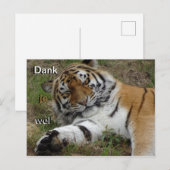 Mooie tijger Dank je Briefkaart (Voorkant / Achterkant)