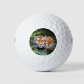 Mooie tijger in het water golfballen (Voorkant)