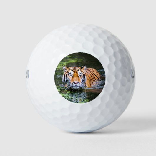 Mooie tijger in het water golfballen (Voorkant)