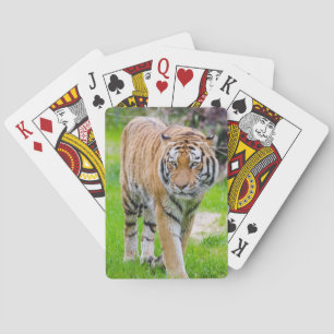 Mooie tijger pokerkaarten