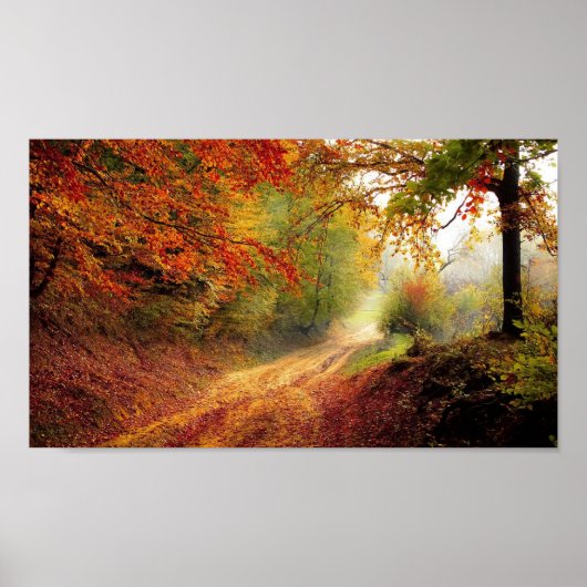 Mooie Tree Avenue herfst seizoen Poster (Voorkant)