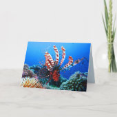 Mooie Tropische Lionfish Kaart (Voorkant)