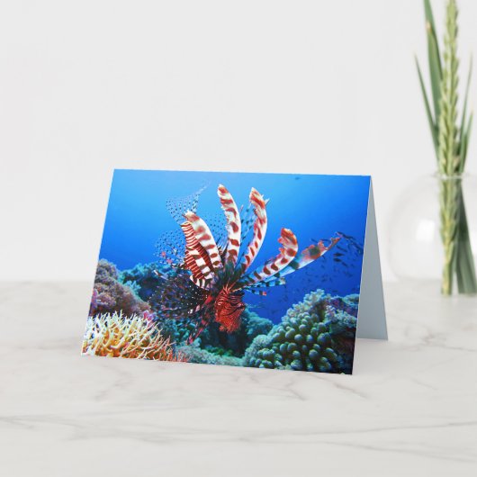 Mooie Tropische Lionfish Kaart (Voorkant)