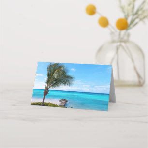 Mooie Tropische Strand Waaierige Palmboom