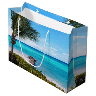 Mooie Tropische Strand Waaierige Palmboom Groot Cadeauzakje