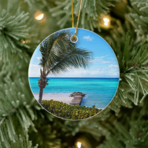 Mooie Tropische Strand Waaierige Palmboom Keramisch Ornament