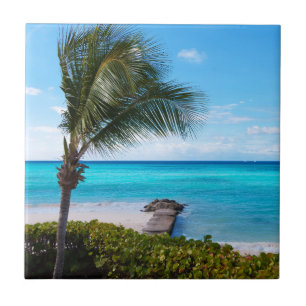 Mooie tropische strand wapperende palmboom tegeltje
