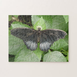 Mooie tropische vlinder en bloemenpuzzel legpuzzel