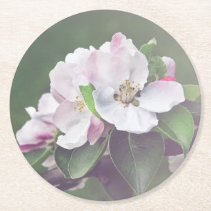 Mooie Tuin Bloeit Lente Onderzetters
