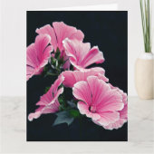 Mooie Tuin Roze Mallow Rozen Bloemen Kaart (Voorkant)