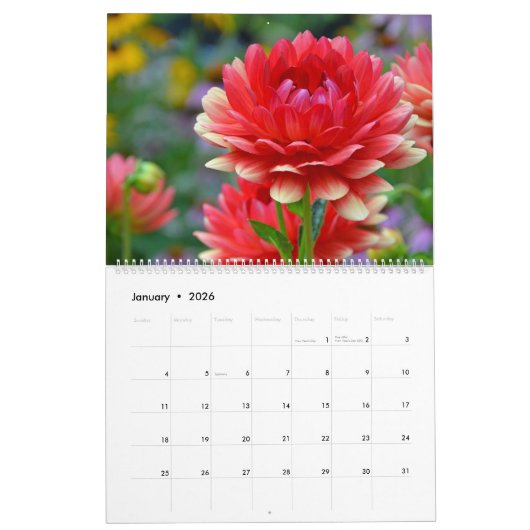 Mooie tuinkalender kalender (Jan 2026)