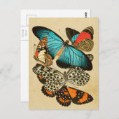 Mooie tuinvlinders briefkaart (Voorkant / Achterkant)