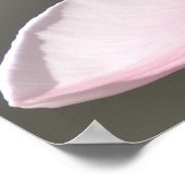 Mooie Tulip Poster (Hoek)