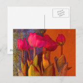 Mooie Tulpen Briefkaart (Voorkant / Achterkant)