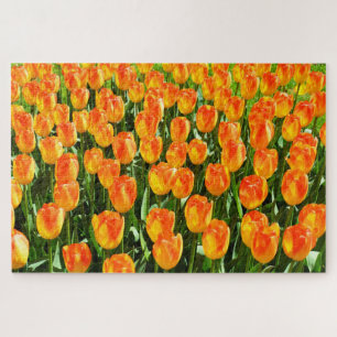 Mooie tulpen legpuzzel