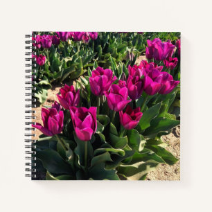 Mooie Tulpen Notitieboek