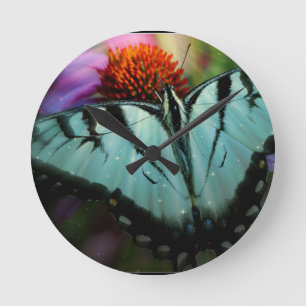 Mooie Turquoise Swallowtail Butterfly Ronde Klok
