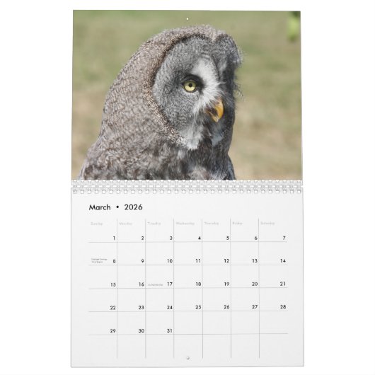 Mooie Uil Afbeeldingen en Afbeeldingen 2025 Kalender (Mar 2026)
