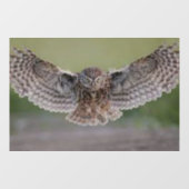 MOOIE "UIL IN FLIGHT" RAAM CLING RAAMSTICKER (Vel)