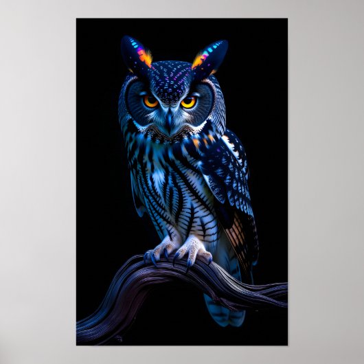 Mooie Uil Poster (Voorkant)