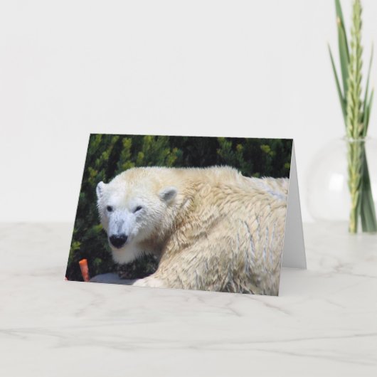Mooie Unieke Polar Beer Custom Kaart (Voorkant)