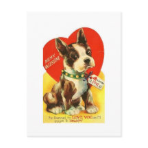 Mooie  Valentijn Boston Terrier Puppy