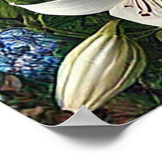 Mooie valk neergestreken te midden van levendige b poster (Hoek)