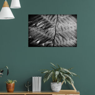 Mooie varen zwart en wit poster