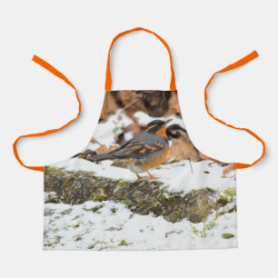 Mooie variëteit op de sneeuwgrond schort