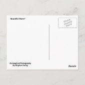 Mooie ventilator briefkaart (Achterkant)