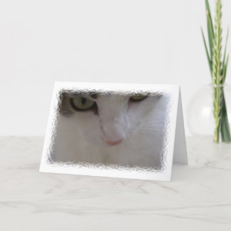 Mooie Verjaardag Kaart