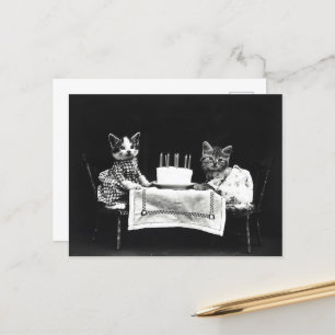 Mooie Verjaardagstaartkatten Briefkaart