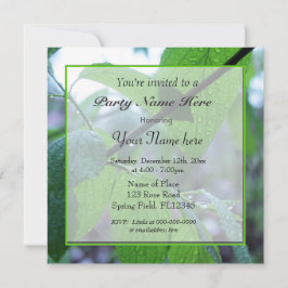 mooie verse lente groen laat iedereen achter kaart