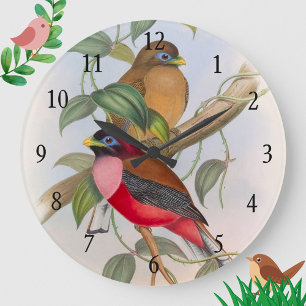 Mooie Vintage Liefdesvogels Acryle Wandklok Grote Klok