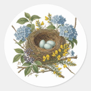 Mooie Vintage Vogel Nest Sticker