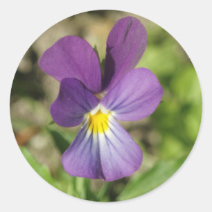 Mooie violetbloemsticker ronde sticker