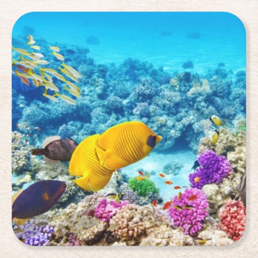 Mooie vis Onderzetter set (Voorkant)