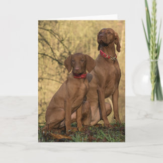 Mooie Vizsla-sporthonden Bedankkaart