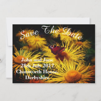 Mooie vlinder bespaart de data save the date