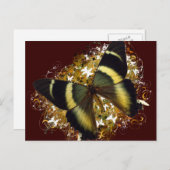 Mooie vlinder briefkaart (Voorkant / Achterkant)