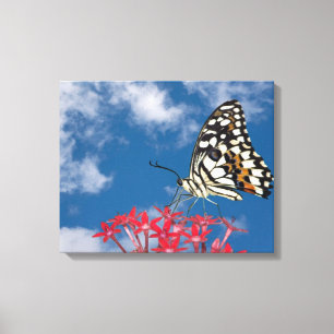 Mooie vlinder canvas afdruk