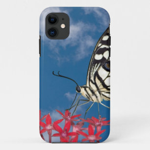 Mooie vlinder iPhone 11 hoesje