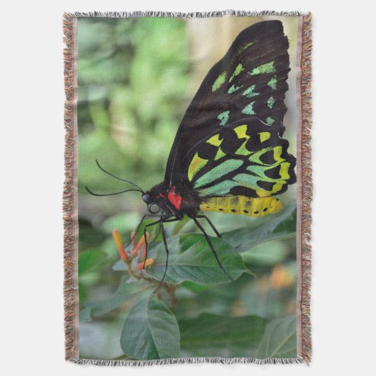 Mooie vlinder deken (Voorkant Verticaal)