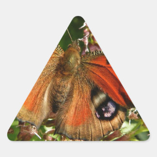 Mooie vlinder op bloemen driehoek sticker