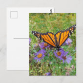 Mooie vlinder op Cornflower Briefkaart (Voorkant / Achterkant)